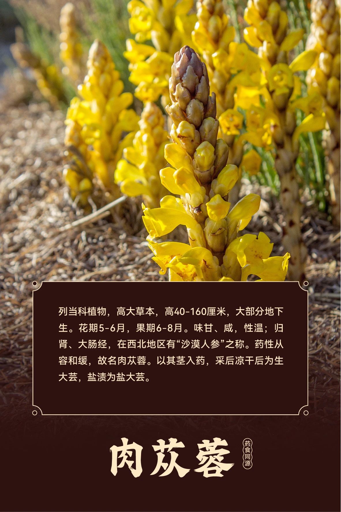 微信圖片_20241126115929.jpg