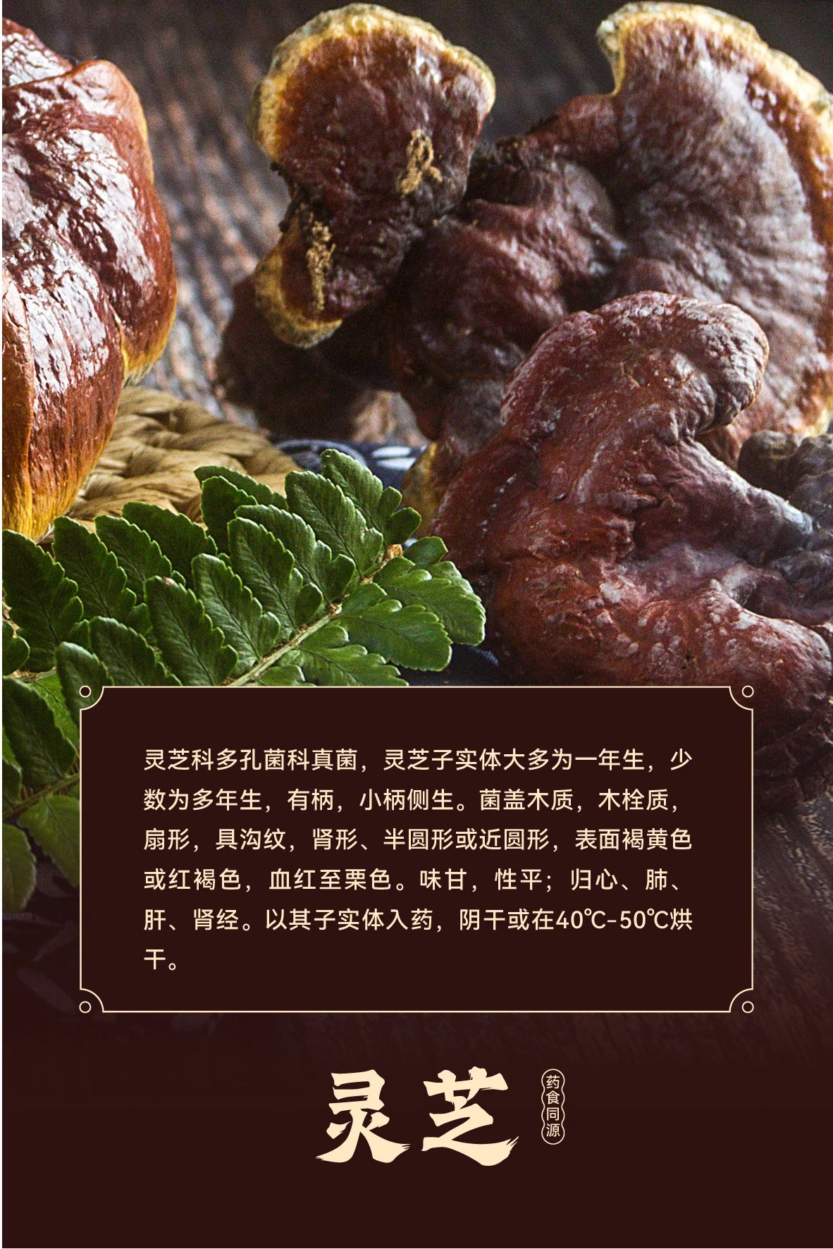 微信圖片_20241126115939.jpg