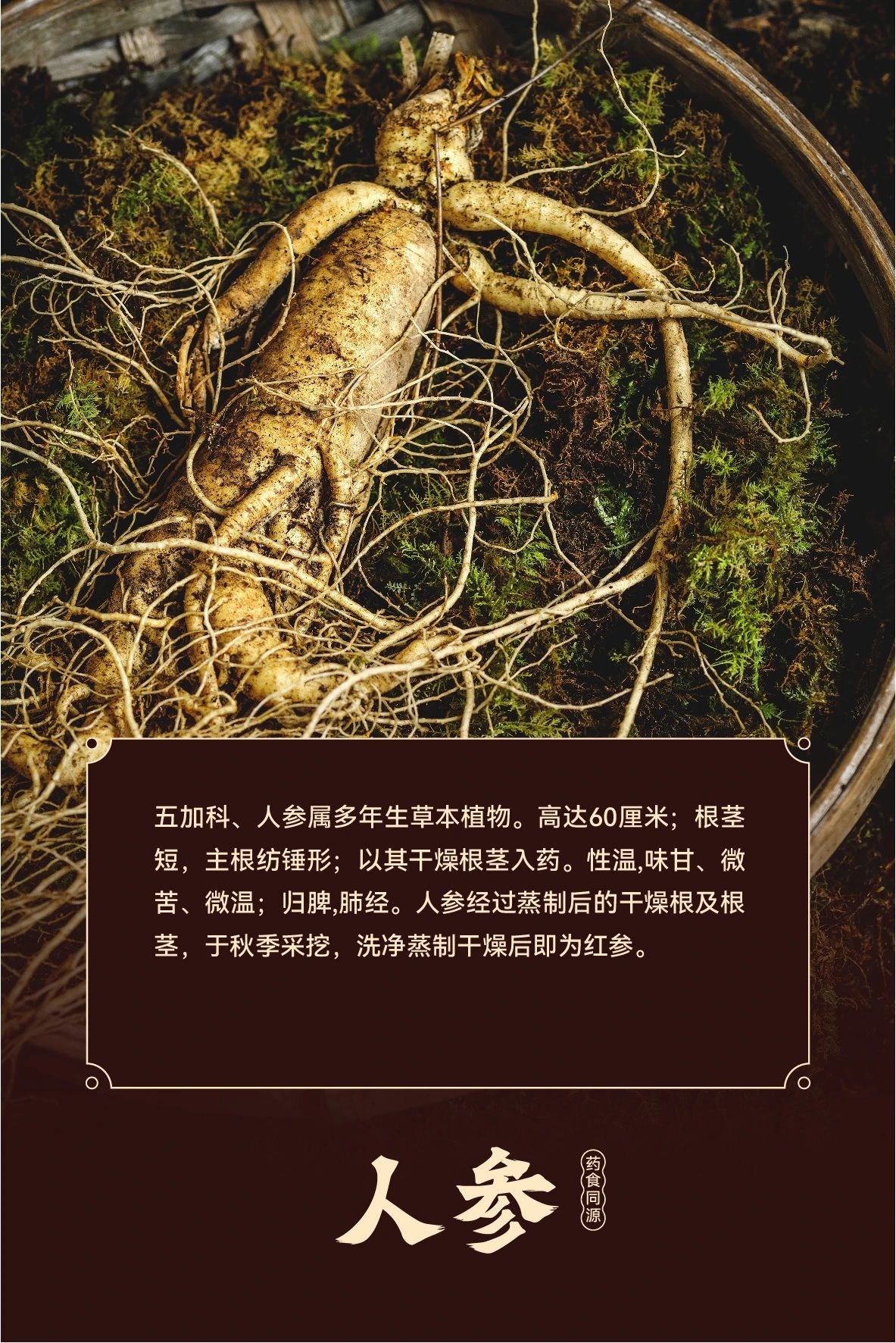 微信圖片_20241126115949.jpg
