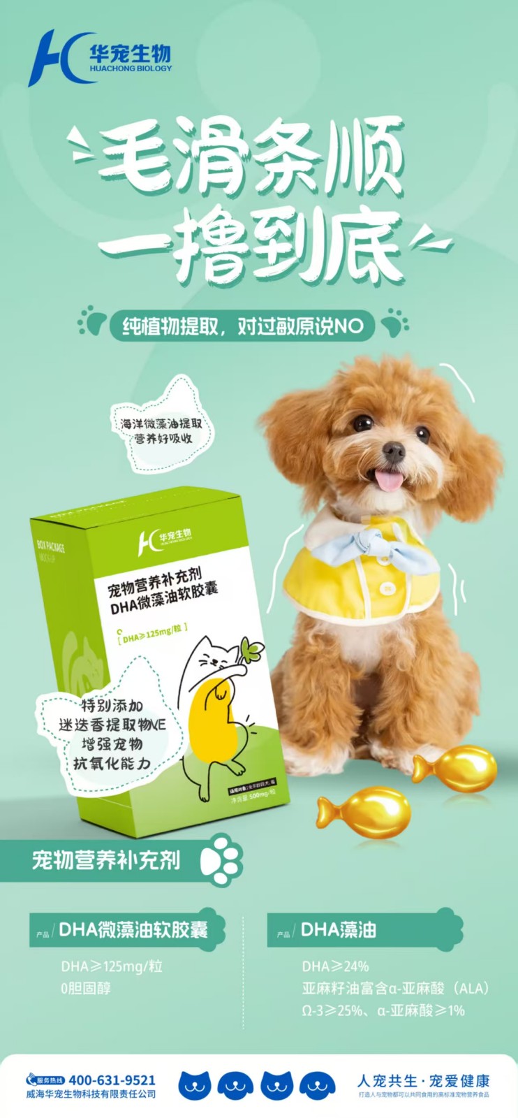 DHA微藻油軟膠囊.jpg